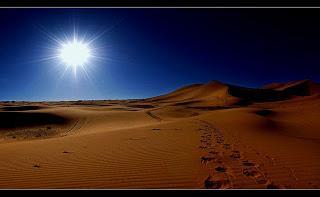 MI SUEÑO Y MI PROPÓSITO