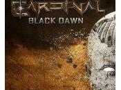 Cardinal: novedades nueva etapa