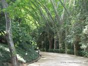 Paseo Plataneros: Jardín Botánico Málaga.