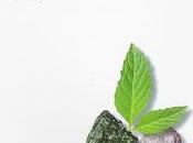 roca yerbabuena": sabia gozas fiel elegido"