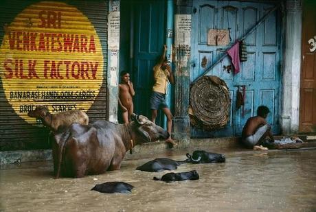 Right as Rain - Steve McCurry Right as Rain - Steve McCurry