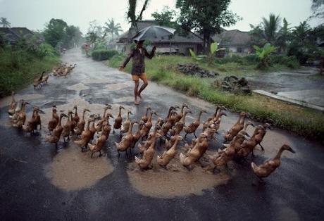 Right as Rain - Steve McCurry