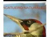 Planes niños para este semana