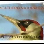 Planes con niños para este fin de semana