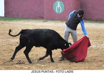 TENTADERO EN VILLALOBILLOS:SEIS ALUMNOS DE LA ESCUELA TAURINA DE CÓRDOBA PRACTICAN CON DOS ERALAS DE RAMÓN SÁNCHEZ