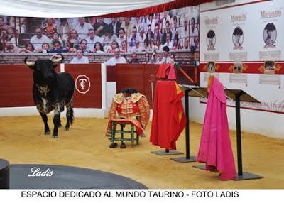 CÓRDOBA: LA FIESTA DE LOS TOROS PRESENTE EN LA CASA DE LAS TRADICIONES