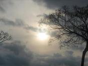 Otoño, otro más...