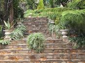 Otoño jardin Autumn garden