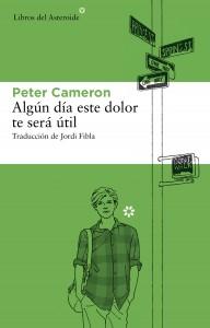 Algún día este dolor te será útil / Peter Cameron