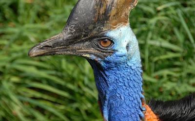 El paleontólogo Jack Horner está cada vez más cerca de crear un dinosaurio