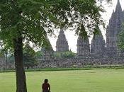 vida rosa, Laura Tejo