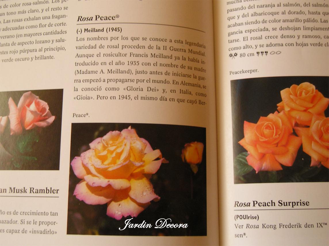Enciclopedia de las Rosas