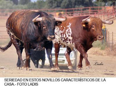 LOS CONCHA Y SIERRA DESAPARECEN DEL PAISAJE CAMPERO ESPAÑOL