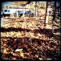 La imagen del abandono.