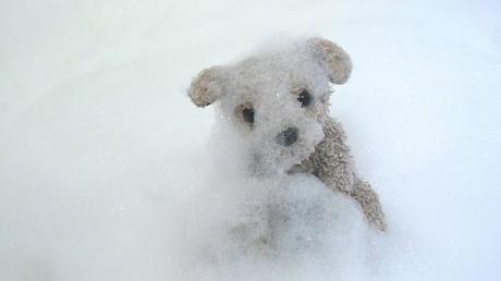 ¿Cuántas burbujas hay en la bañera?