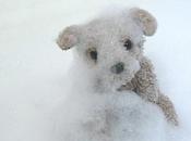 ¿Cuántas burbujas bañera?