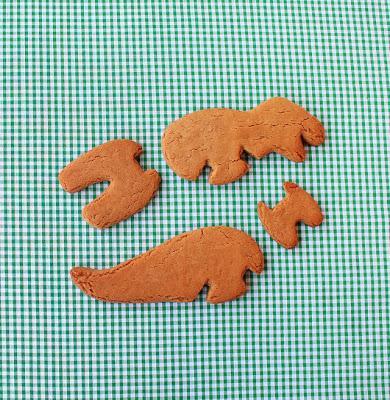 3D Dinosaur Cookie Cutters
