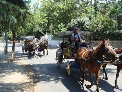 Islas Príncipes : Büyük Ada