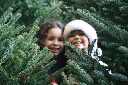 videos anuncios navidad ANUNCIOS NAVIDEÑOS.