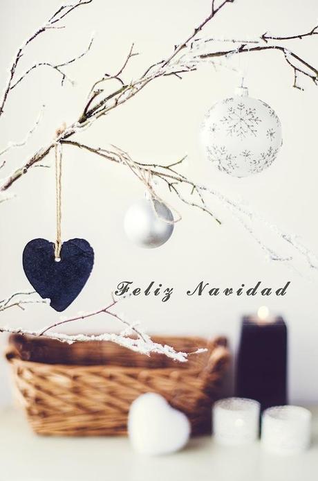 Still Color Life de Diciembre y Noviembre turquesa