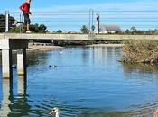 It's Marathon Time..!!! Cuando tirada larga convierte Maratón.... Horas Atletismo Pista Stop... Hoko Esport, Virginia Bay, Resistant Sofás