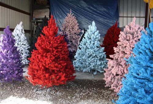 Eligiendo colores para el árbol de Navidad