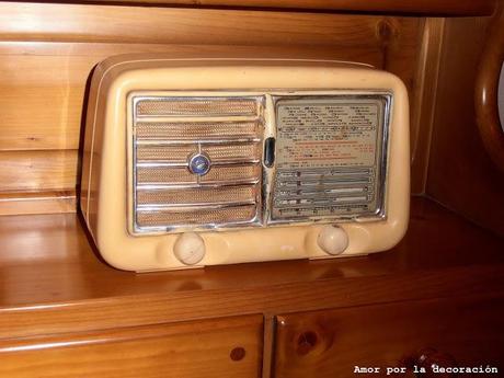 NUEVOS AMORES EN MI CASA