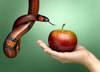 7 Pecados Que Pueden Llevarte a un Infierno Financiero