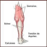 Pilates y la rehabilitación del tendón de Aquiles