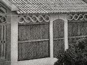 Museo puntos