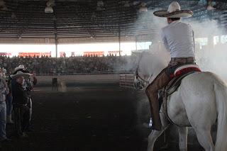 3 Potrillos, Campeón El Dorado
