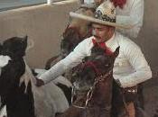 Potrillos, Campeón Dorado