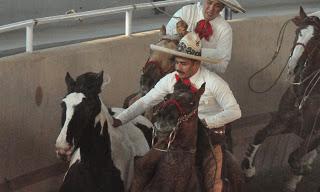 3 Potrillos, Campeón El Dorado