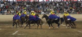 3 Potrillos, Campeón El Dorado