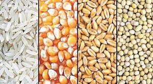 Alimentación para celíacos