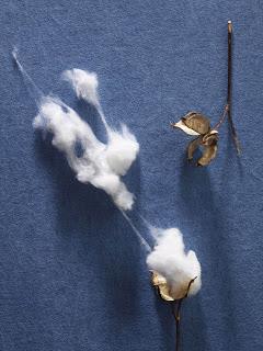 Levi's sigue comprometido con el planeta