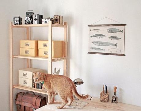 Decorar con los lienzos