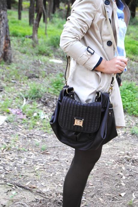 Autumn colours. Autumn colours.