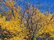 Vivir vida, intensamente