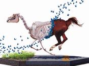 Josh Keyes Pinturas (III)