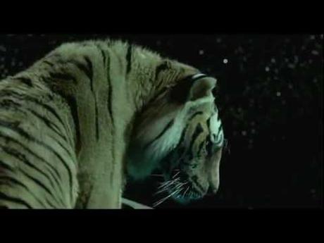 “La vida de Pi”: Todos los caminos llevan a Dios Imagen de previsualización de YouTube