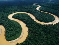 partir mundo verá rostro toda Amazonía