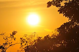 Prevenir el resfriado y la gripe tomando el sol