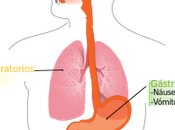 Evita resfriado gripe tomando