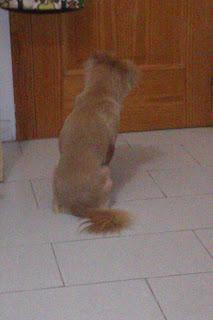 Relato. Eternamente esperando