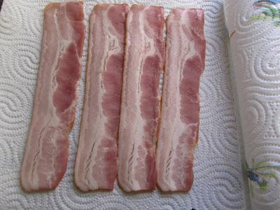 Tronco nevado SALADO