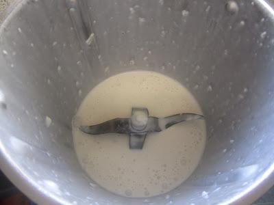 Tronco nevado SALADO