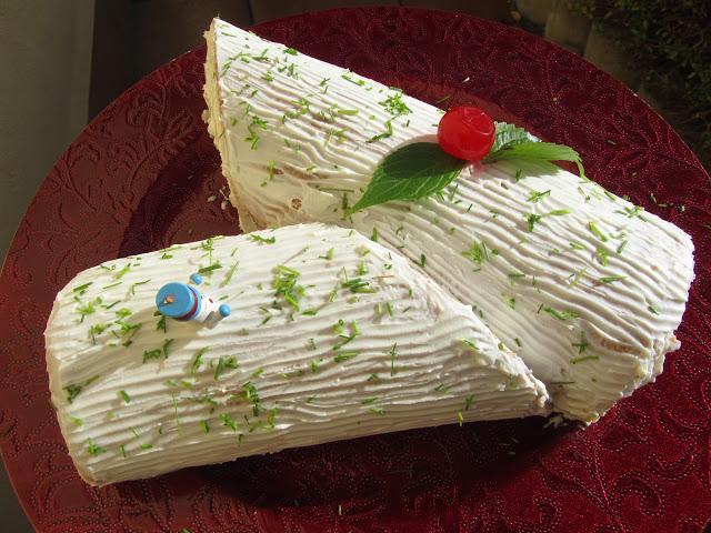 Tronco nevado SALADO