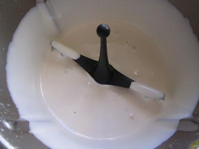 Tronco nevado SALADO