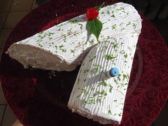 Tronco nevado SALADO